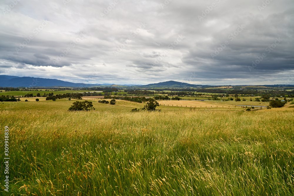 Fototapeta premium Landscape