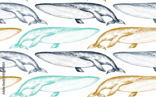 Photography Vector monochrome seamless pattern with whales in sketch style.