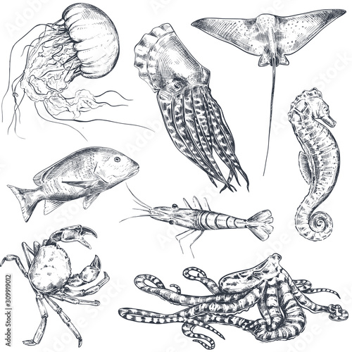Vector monochrome seamless pattern with ocean and sea animals in sketch style.