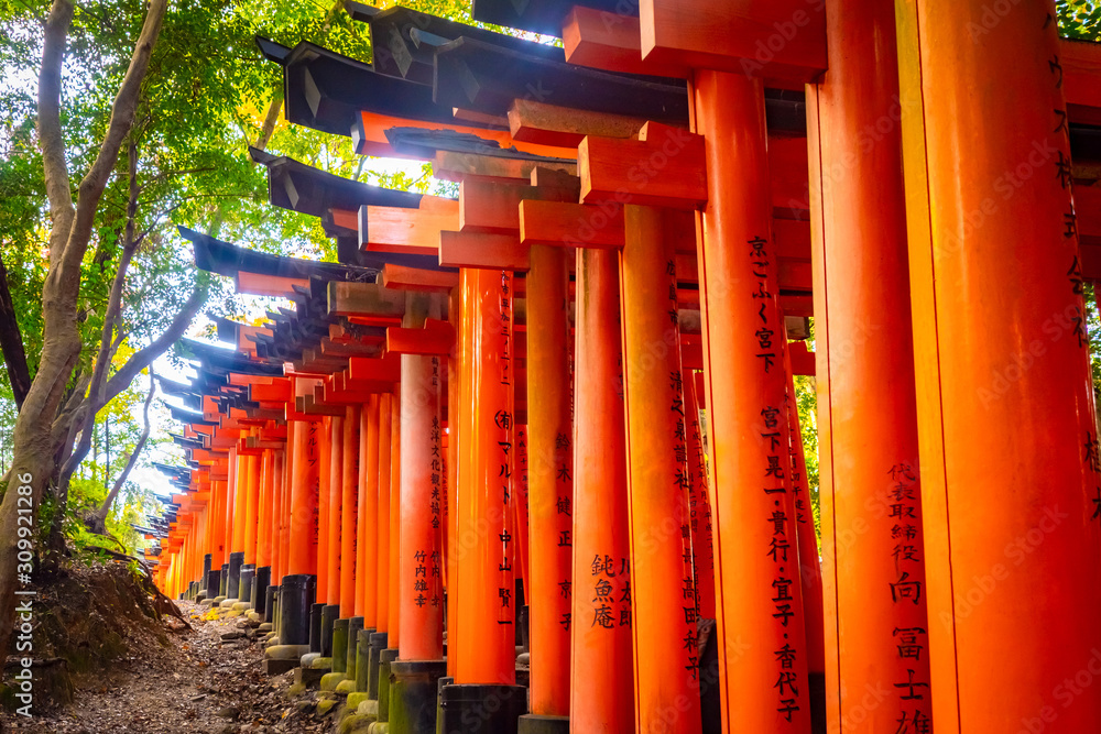 Japan. Kyoto. The Fushimi Inari Shrine. Fushimi Inari Taisha Temple. The orange gate of the temple on mount Inariyama. Goddess Inari. Shinto. Mythology. Orange gate with black writing. Japan. Kyoto. The Fushimi Inari Shrine. Fushimi Inari Taisha Temple. The orange gate of the temple on mount Inariyama. Goddess Inari. Shinto. Mythology. Orange gate with black writing.