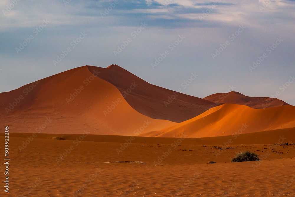 Dead Camelthorn Trees against red dunes and blue sky in Deadvlei, Sossusvlei. Namib-Naukluft National Park, Namibia, Africa