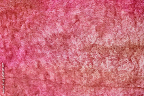 Red sheepskin texture, fur close-up. Background wool of the sheep pink. Texture of colored sheep wool carpet.