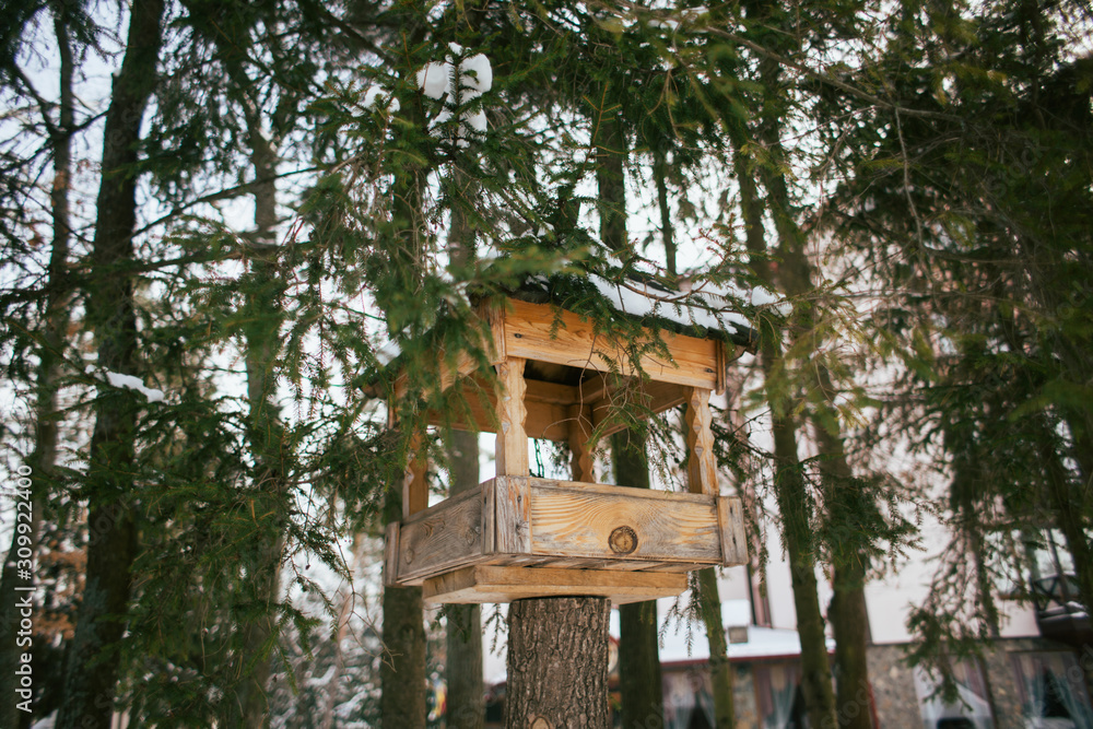 Bird feeder in winter park. Birdhouse hanging outdoors in winter forest, trees covered with snow. Bird feeder in winter park. Birdhouse hanging outdoors in winter forest, trees covered with snow.