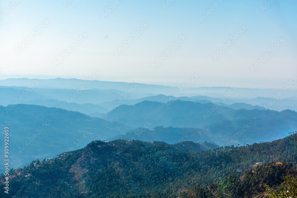 View of the misty mountainous forest 