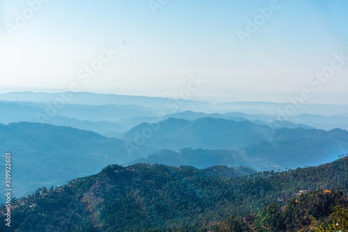 View of the misty mountainous forest 