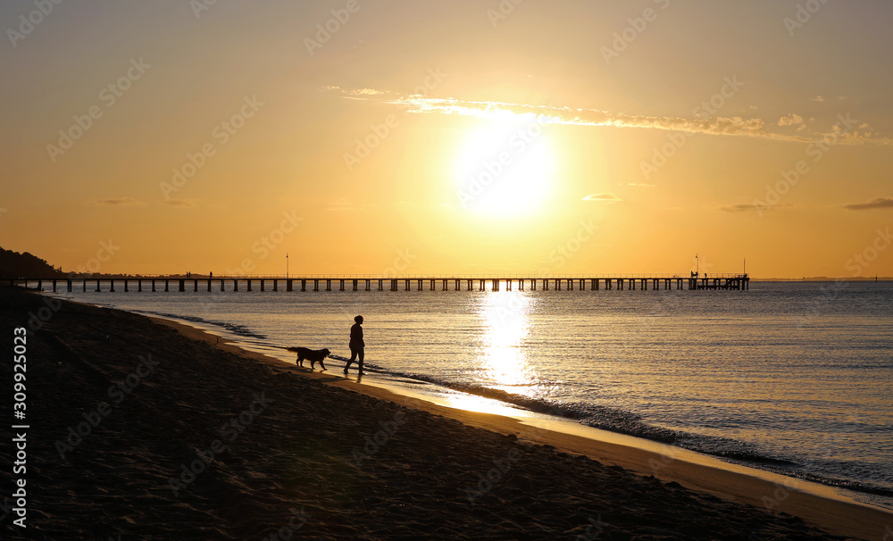 Silhouette of a person walking a dog along a beach at sunset .