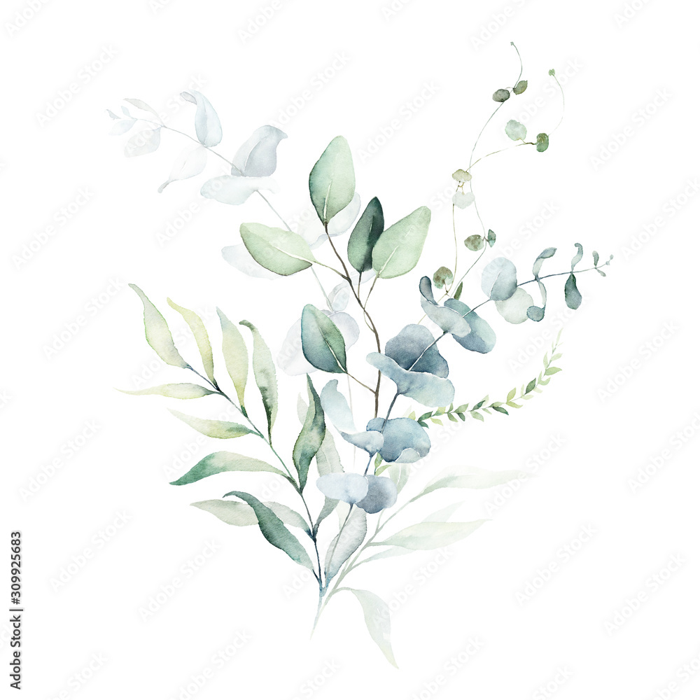 Watercolor floral illustration bouquet - green leaf branch collection, for wedding stationary, greetings, wallpapers, fashion, background. Eucalyptus, olive, green leaves, etc. - obrazy, fototapety, plakaty 