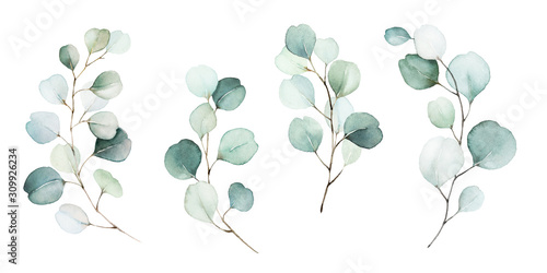 Naklejka bezklejowa Ilustracja kwiatowego zestawu tworzonego za pomocą akwareli 