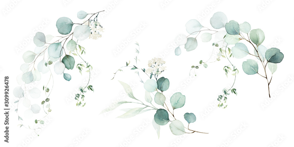 Obraz Akwarela ilustracja kwiatowy zestaw - kolekcja zielonych gałęzi liści, na wesele, pozdrowienia, tapety, moda, tło. Eukaliptus, oliwka, zielone liście itp.
