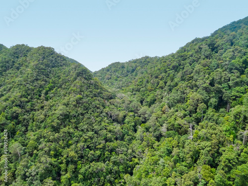 overgrown mountains at Langkawi