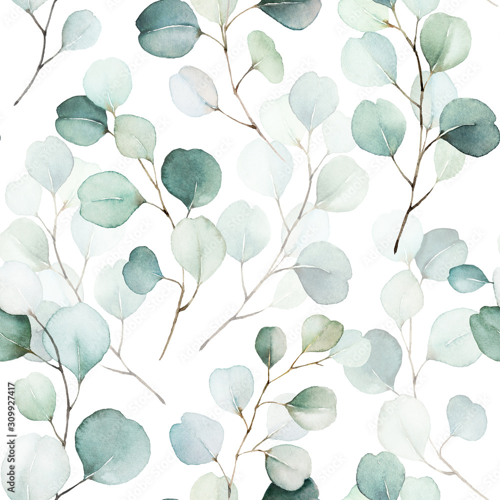 Fototapeta kompozycja zielonych liści i gałęzi na białym tle