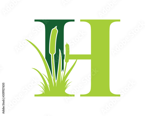 Letter H with Reeds Grass Logo Vector 001