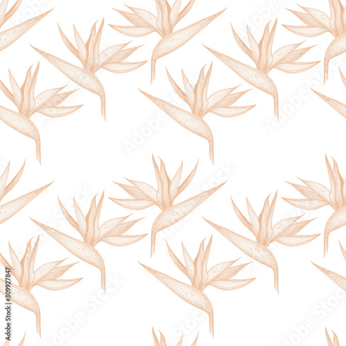 Flowers seamless pattern. Great for packaging, label, icon.