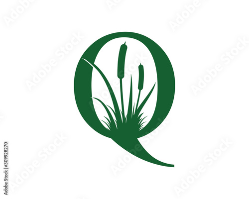 Letter Q with Reeds Grass Logo Vector 001