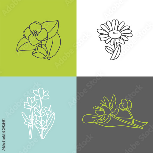 Vector set design colorful templates logo and emblems - organic herbs and teas. Different teas icon- jasmine, linden, chamomile and lavender.