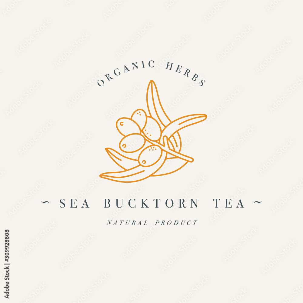 Vector design colorful templat logo or emblem - organic herb sea buctorn tea. Logos in trendy linear style isolated on white background.