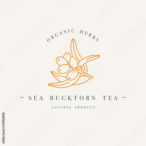 Vector design colorful templat logo or emblem - organic herb sea buctorn tea. Logos in trendy linear style isolated on white background.