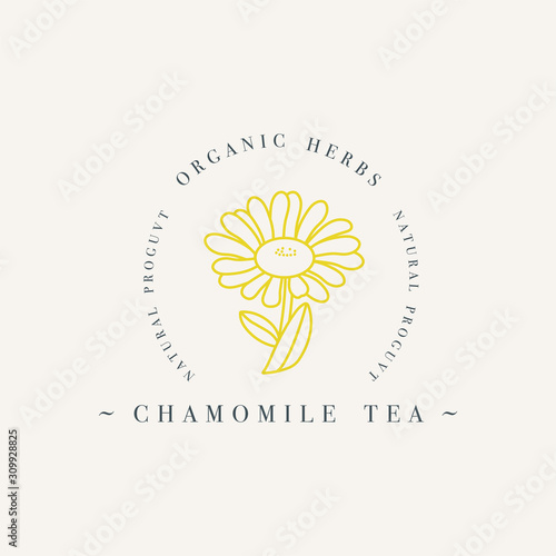 Vector design colorful templat logo or emblem - organic herb chamomile tea. Logos in trendy linear style isolated on white background.