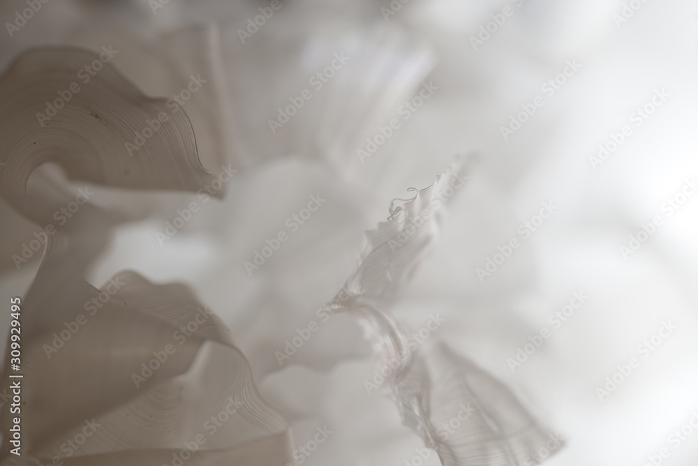 Obraz premium white background wedding