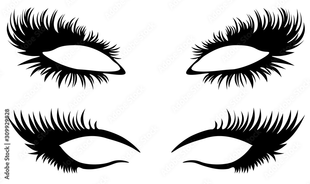 Eye lashes vector. Beautiful black long eyelashes. Eye lashes vector. Beautiful black long eyelashes.