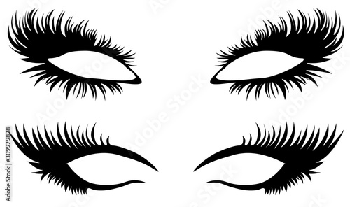 Eye lashes vector. Beautiful black long eyelashes.  © IceVector