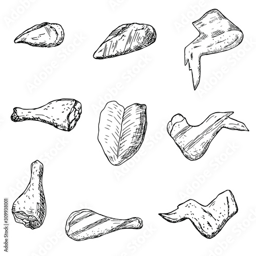 Hand-drawn isolated chicken meat.  Vector cartoon illustrations. 