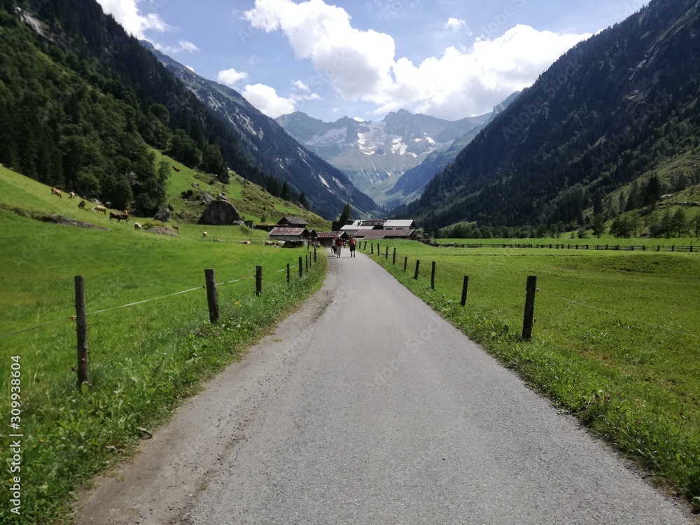 beautiful view in the mountains beautiful view in the mountains
