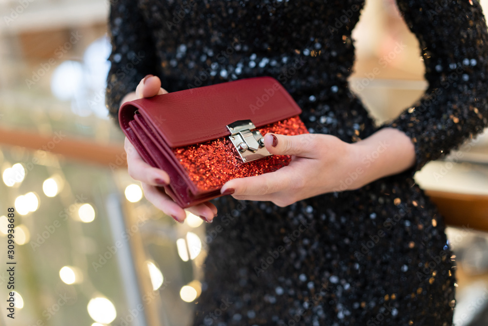 Beautiful Girl with Clutch Purse Stock Image - Image of clutch, accessory:  235271399