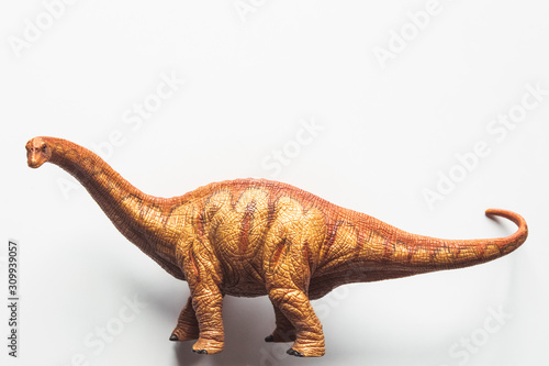 Fototapeta Naklejka Na Ścianę i Meble -  Brachiosaurus Dinosaur toy isolate on white background