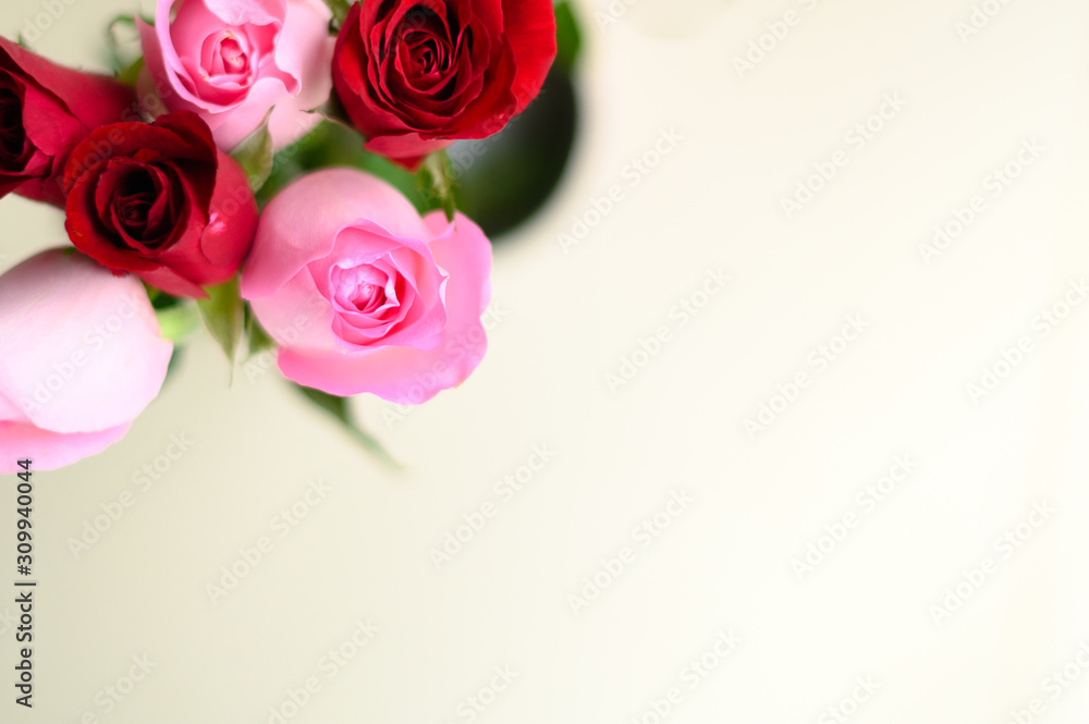 Happy Valentine's Day background. beautiful Pink rose background Happy Valentine's Day background. beautiful Pink rose background