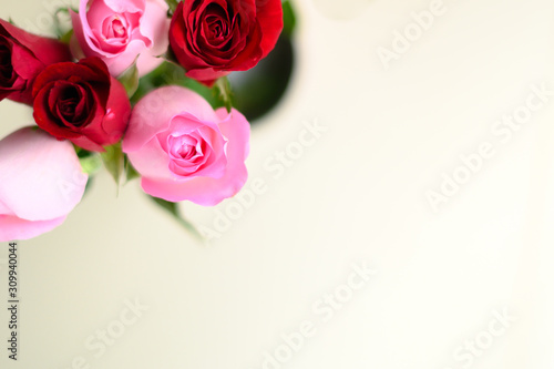 Happy Valentine s Day background. beautiful Pink rose background