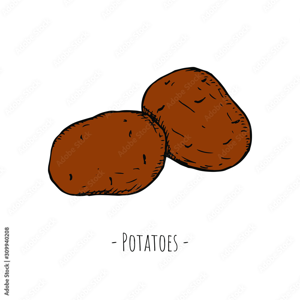 Hand-drawn potatoes. Vector cartoon illustrations. Hand-drawn potatoes. Vector cartoon illustrations.