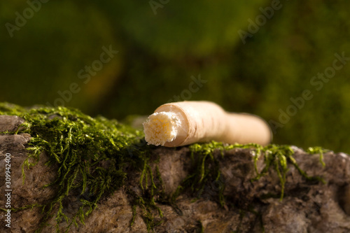 Miswak or Siwak. photo