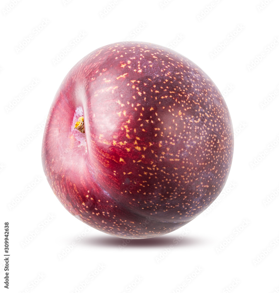 Fototapeta premium Plum isolated on white background with clipping path