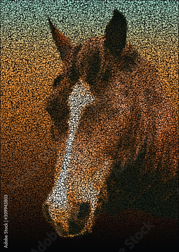 Horse Face Dots