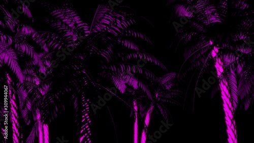 Neon Palm Trees Disco Looping Club Visual photo