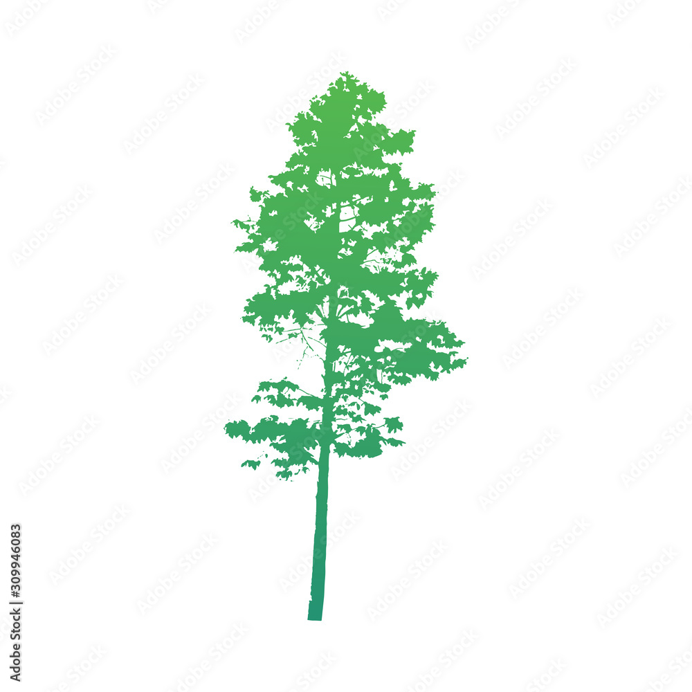 isolated of trees on the white background. Vector EPS 10. isolated of trees on the white background. Vector EPS 10.