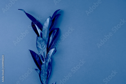 Branch of laurel bay leaves
