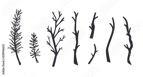 Wooden brunches and forest element of tree. Vector