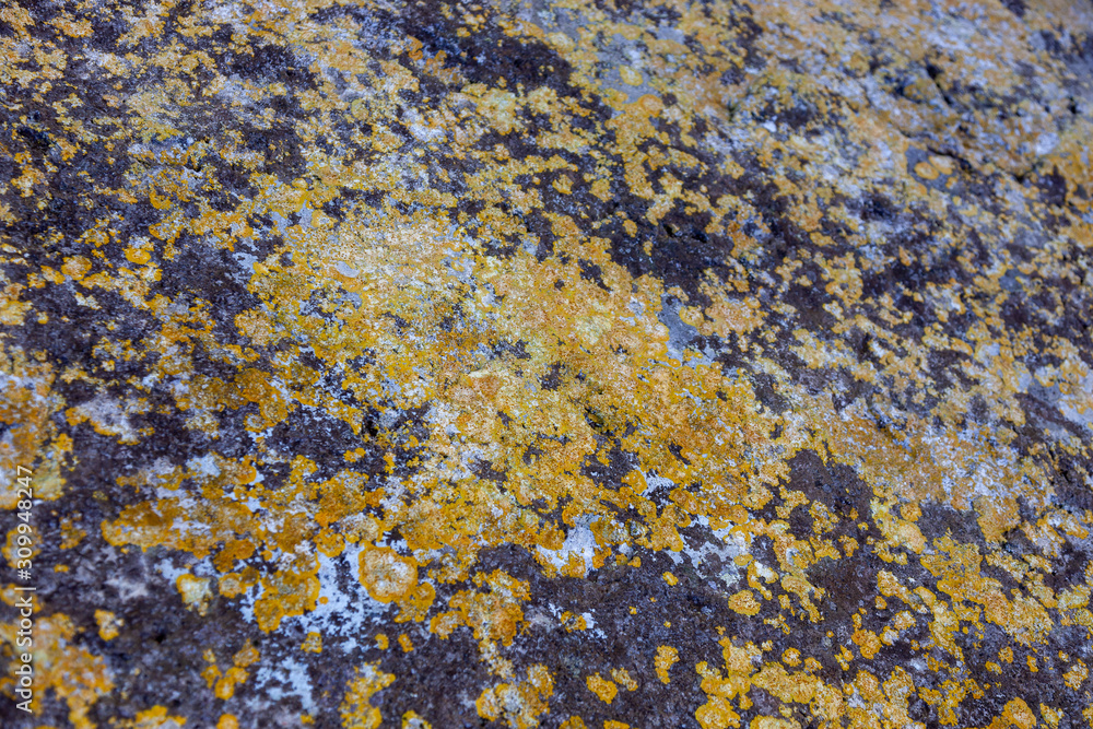 Ground, Wall surface texture for decoration background Ground, Wall surface texture for decoration background
