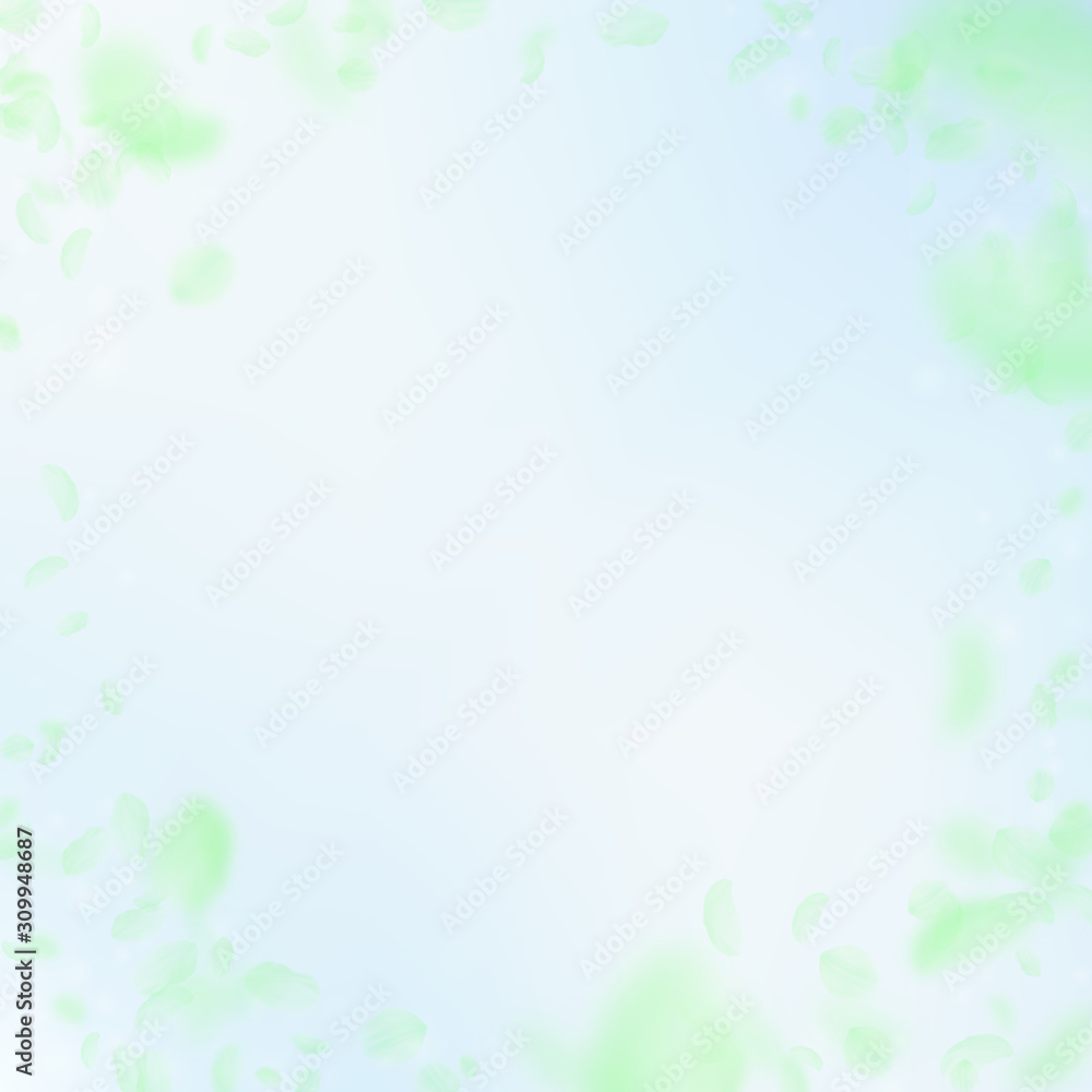 Green flower petals falling down. Worthy romantic Green flower petals falling down. Worthy romantic