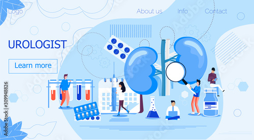 Urologist concept for pyelonephritis, diseases and kidney stones, cystitis, urolithiasis, nephroptosis, renal failure, hydronephrosis.
