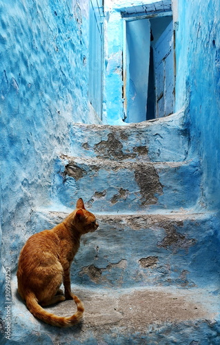 Blue city of Chefchaouen, North Morocco © Tomas