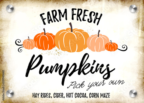 Farm Fresh Pumpkins vector illustration art