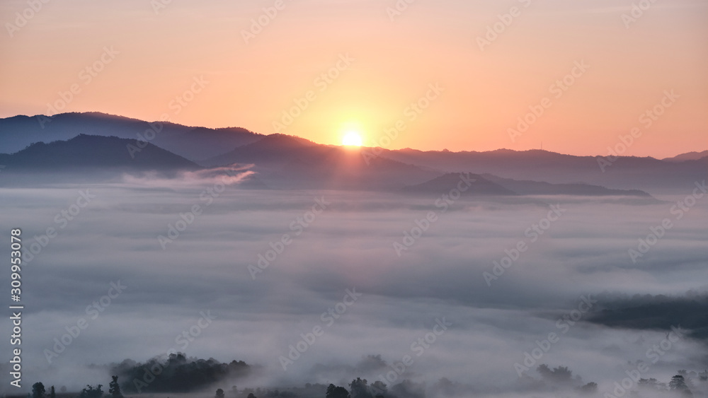Forest Cloud with Sunrise in Pai