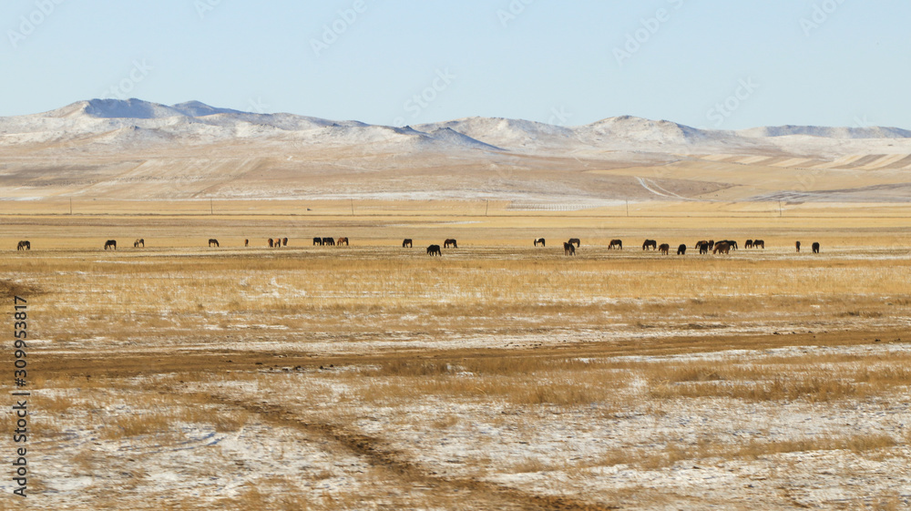 Obraz premium Mountain and animals