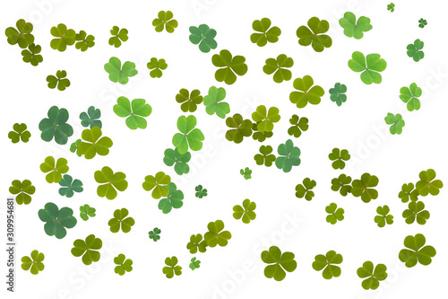 St.Patrick  s Day. Clover leaf background for design on white.