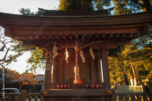 滋賀県、多賀大社の摂末社、天満神社と祠に並ぶダルマ photo