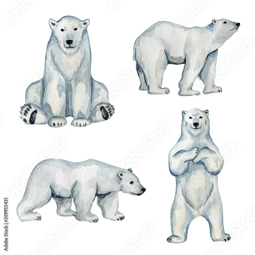 Watercolor cute white polar bears in the north