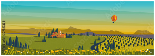 Wild panoramic rural countryside in spring or summer.Green hill with grape field on vineyard with hot balloon.Concept of Europe farm agriculture in spring or summer.Vintage color with noise and grainy